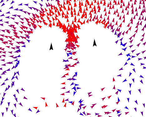 Example figure of predators working together. Black arrows represent sharks and other arrows are prey, the speed of prey is represented by colour from blue to red.