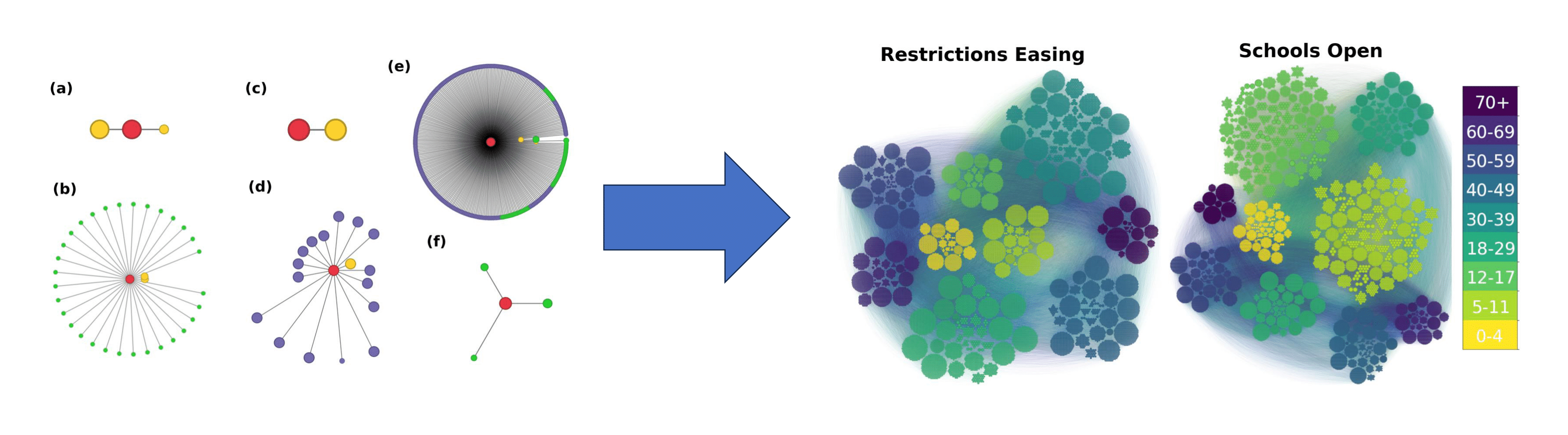 Examples of individuals from the CoMix UK data set. The arrow represents being fed into our algorithm, resulting in 2 output networks from periods of COVID lockdown when schools are closed and open. Dots in these networks refer to people whos size corresponds to their number of contacts and colour to the age group they belong.